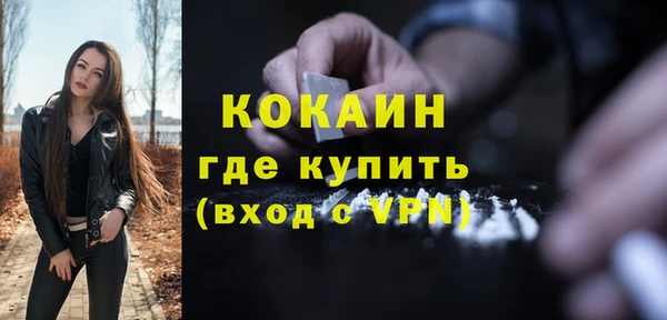 mdpv Богородск