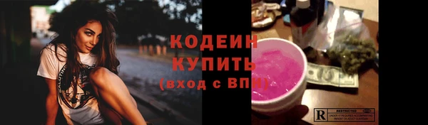 ешки Бородино