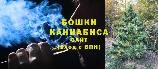 стафф Бронницы