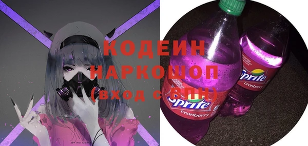 ешки Бородино